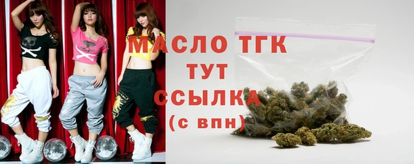 соль ск Кулебаки