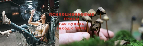 мдпв Кукмор