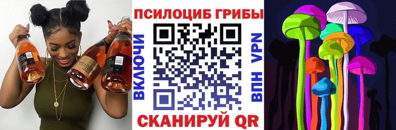 Галлюциногенные грибы ЛСД  Купить где  Электроугли 